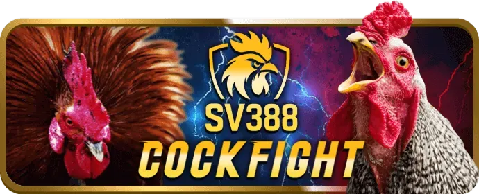 Trải nghiệm Live Casino 8kbet8
